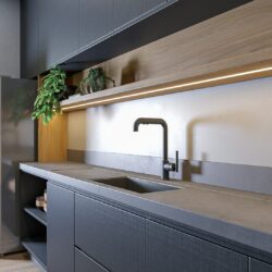a kitchen with a plant on the counter